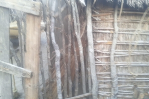 Afrika Madagaskar'da bize iletilen ekmeklerin dağıtımını yaptık 