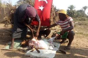 Afrika Madagaskar ülkesinde yetim ve yoksul aileler için akika kurbanı kestirip evlerinde ziyaret ederek etlerin dağıtımını yaptık