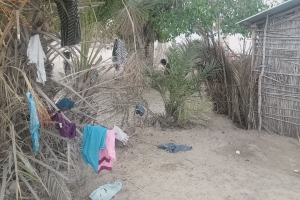 Afrika Madagaskar'da yetim ve yoksul çocuklara bisküvi dağıtarak sevinçlerine ortak olduk