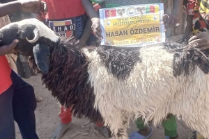 Afrika Kamerun şükür kurbanı kesin ve dağıtımı yapıldı
