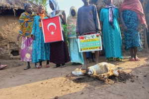 Afrika Uganda Adak kurbanı kesimi Aralık 2022 