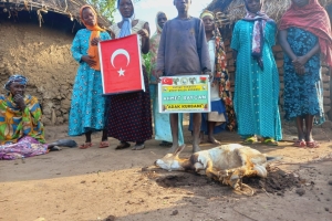 Afrika Uganda Adak kurbanı kesimi Aralık 2022 