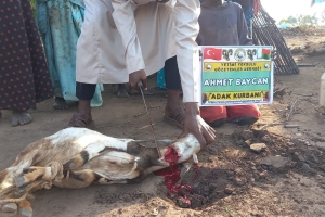 Afrika Uganda Adak kurbanı kesimi Aralık 2022 