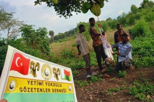 Afrika Uganda Adak kurbanı kesimi Aralık 2022 