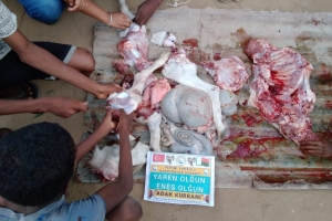 Afrika madagaskar adak kurban kesimi 