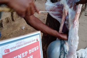 Afrika Madagaskar kurban kesimi Ocak 2023