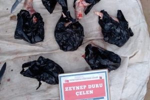 Afrika Madagaskar kurban kesimi Ocak 2023