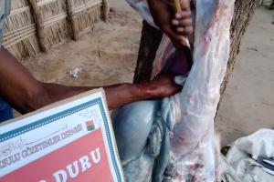 Afrika Madagaskar kurban kesimi Ocak 2023