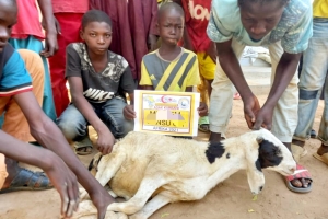 Adak kurbanı kesimi Afrika Kamerun