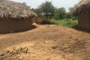 Afrika su kuyusu görüntüleri