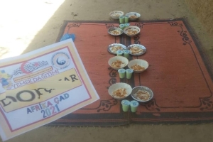 Afrika Çad Yemek Dağıtım Organizasyonu