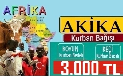 AKİKA KURBANI