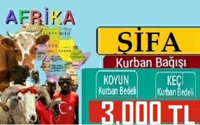 ŞİFA KURBANI