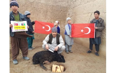 Afganistan Adak kurban kesimi ve dağıtımı 2022