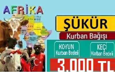 ŞÜKÜR KURBANI
