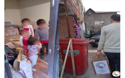 GIDA KOLİSİ DAĞITIMLARIMIZ