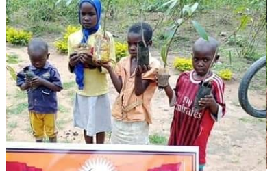 AFRİKA ASYA MEYVE FİDANI DİKİMİ