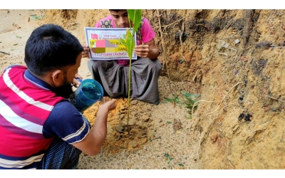Arakna kamplarında fidan dikimi