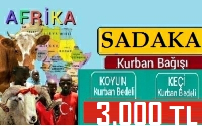 SADAKA KURBANI