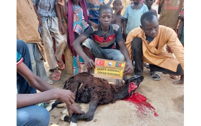 Afrika Kamerun Adak kurban kesimi