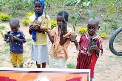 AFRİKA ASYA MEYVE FİDANI DİKİMİ