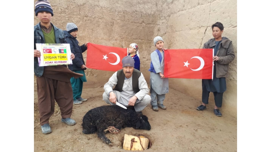 Afganistan Adak kurban kesimi 2022