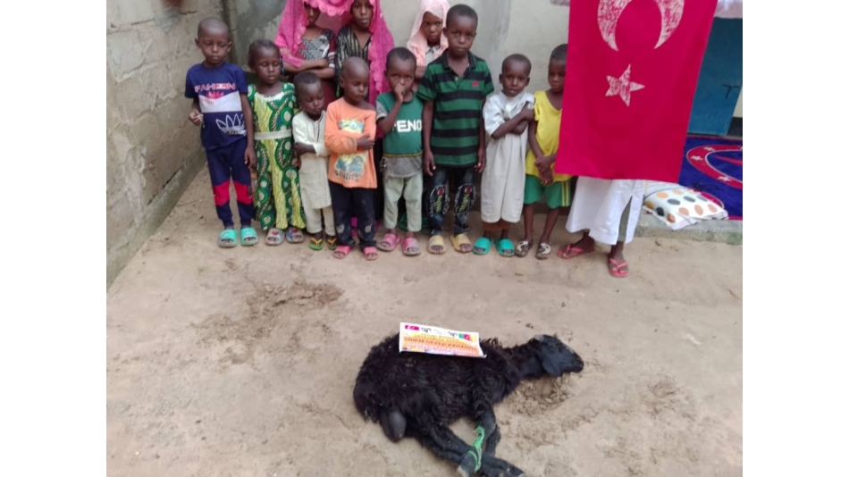 Afrika Kamerun Adak kurbani kesilip yetim yoksul ailelere dağıtıldı Eylül 2022